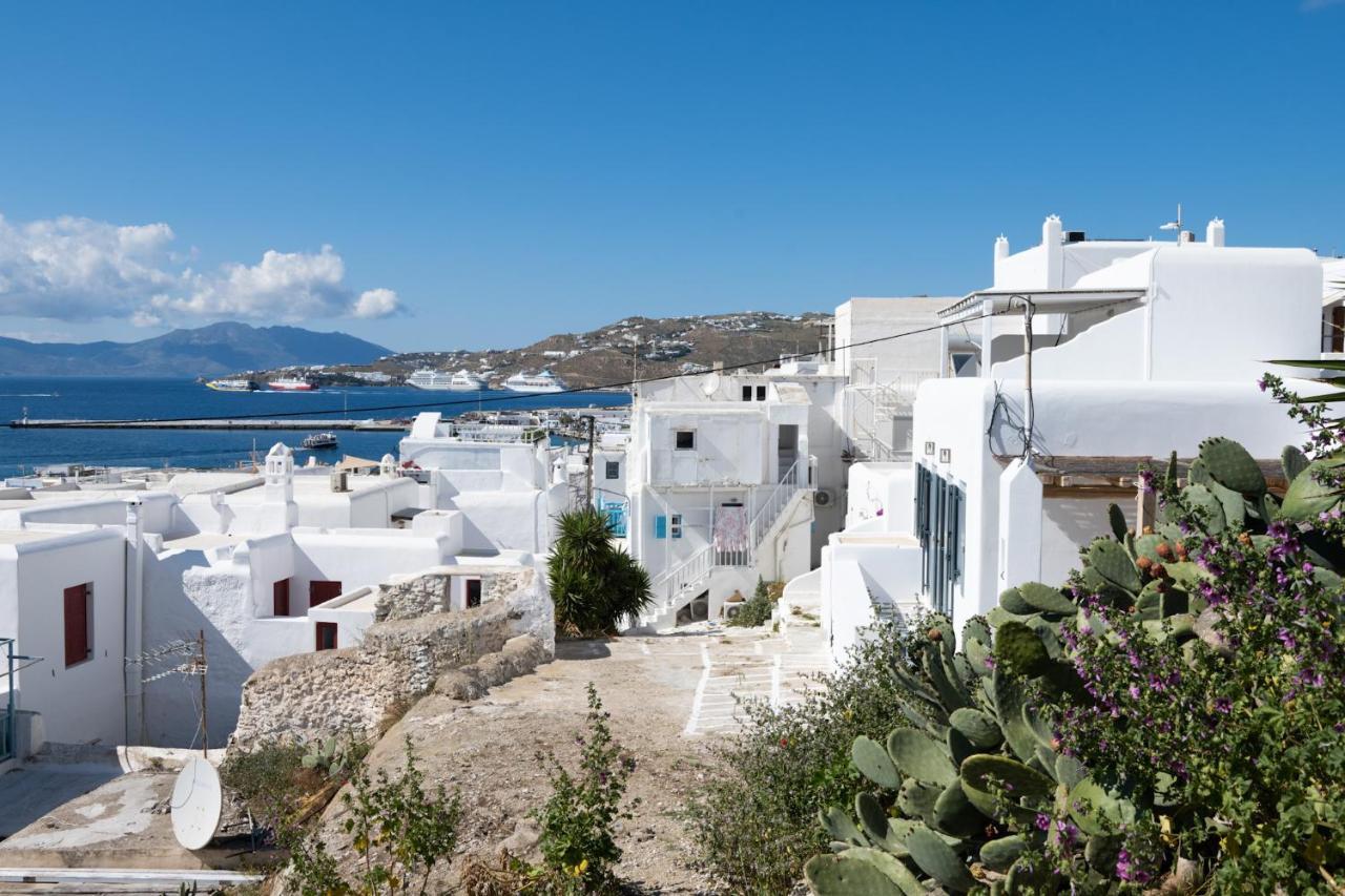 Serene Myconian House Villa Mykonos Town Eksteriør billede